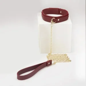 Roomfun 酒紅海軍藍束縛套組 ZW077 Bondage Kit頸圈