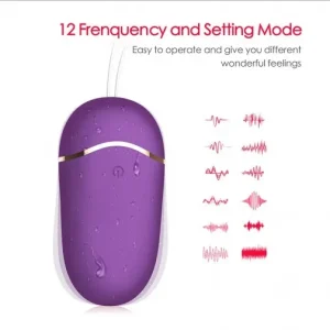 Erocome 小熊座 無線遙控震蛋