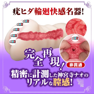 NPG 神宮寺奈緒 熟女之星