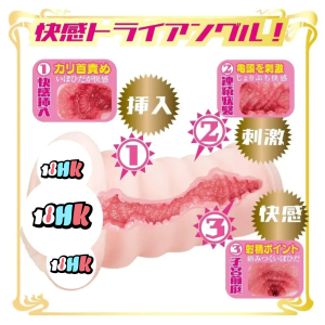 NPG (日本) AVミニ名器 深田詠美 小型飛機杯