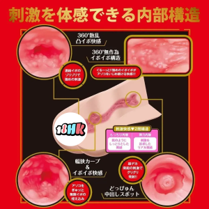 EXE 日本翼舞飛機杯