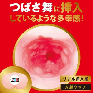 EXE 日本翼舞飛機杯