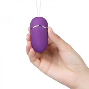 Erocome 小熊座 無線遙控震蛋