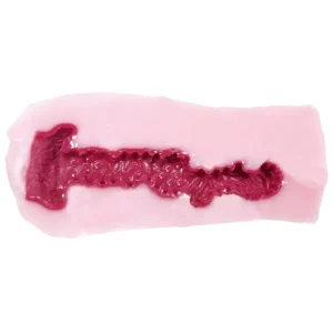 RUBY 純淫 北條麻妃 生名器